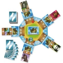 ASMODEE Noé : Jeu De Défausse Tactique -Magasin De Jouets noe 2